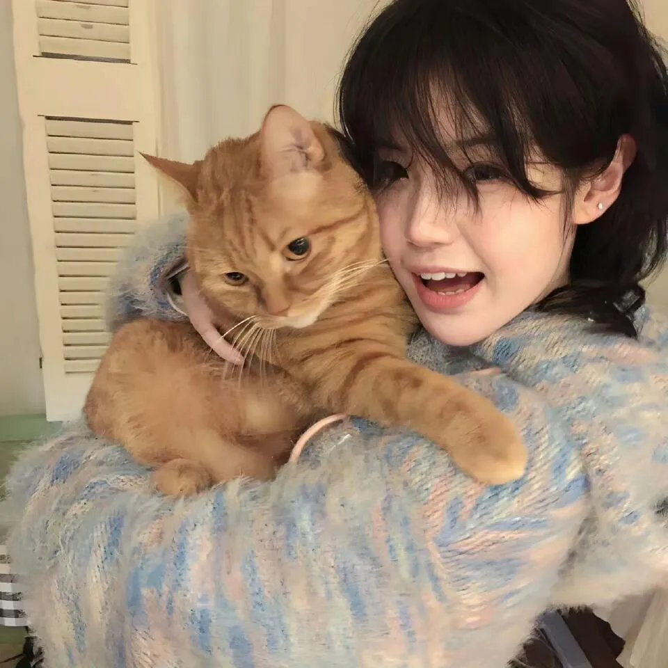 好莱坞十君子